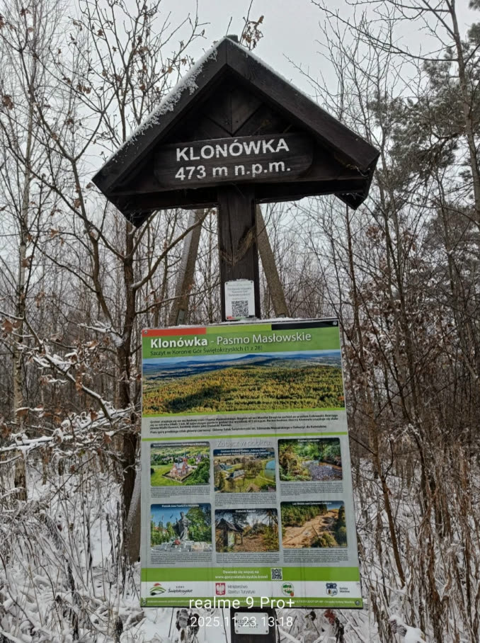 Szczyt Klonówka 473 m n.p.m. w Pasmie Masłowskim